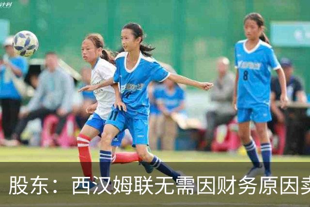 股东：西汉姆联无需因财务原因卖核心球员，要以最快速度重返英超